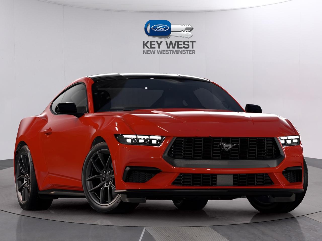 2024 Ford Mustang  Photo4