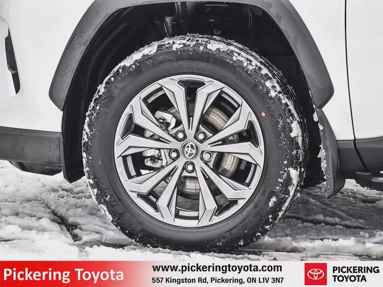 2025 Toyota RAV4 Hybrid XLE Photo