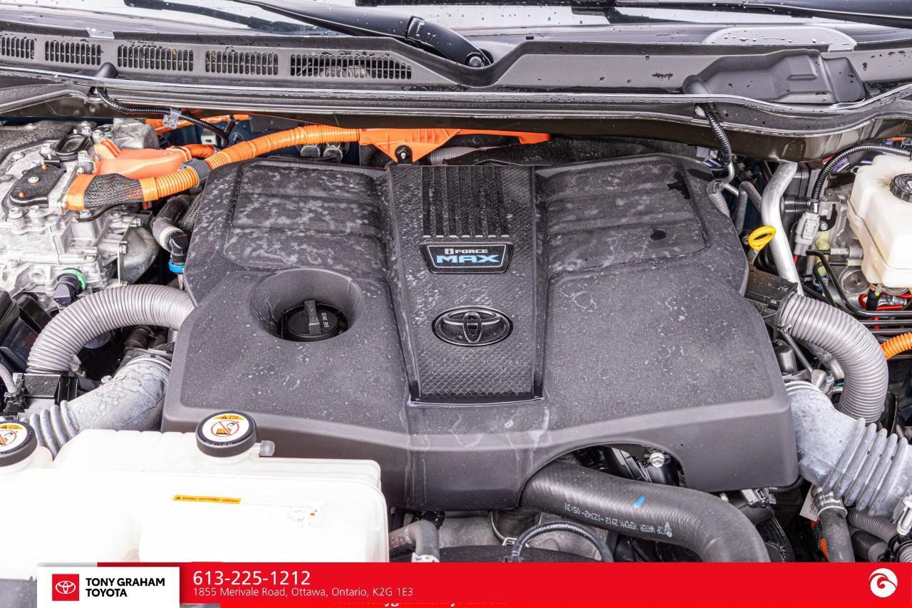 2023 Toyota Sequoia Limited Photo