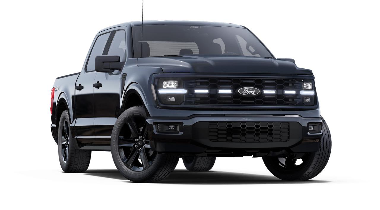 2025 Ford F-150 STX Photo3