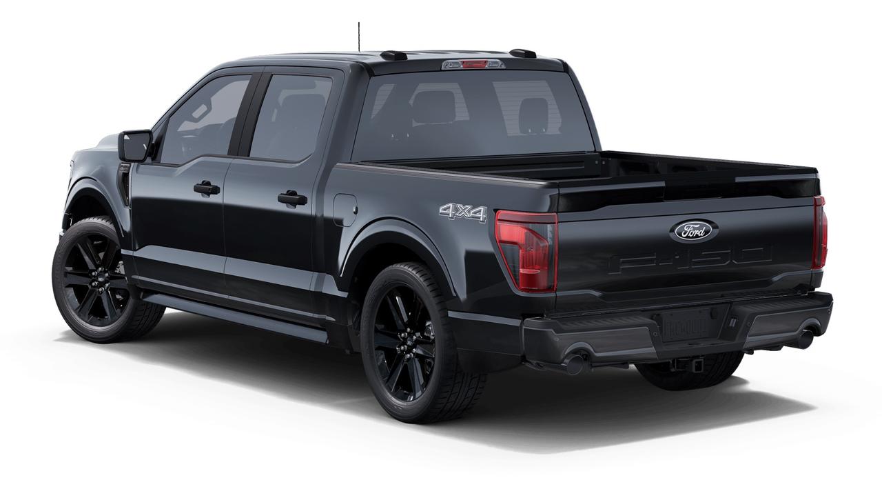 2025 Ford F-150 STX Photo