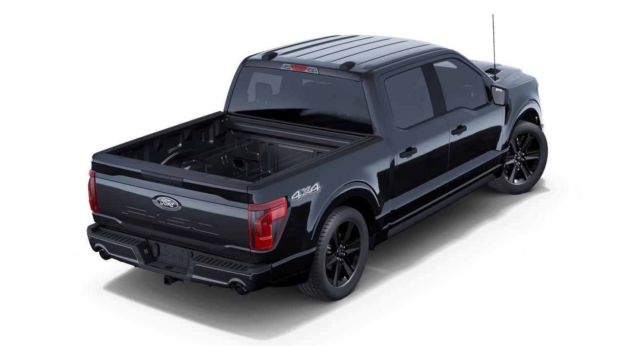 2025 Ford F-150 STX Photo2