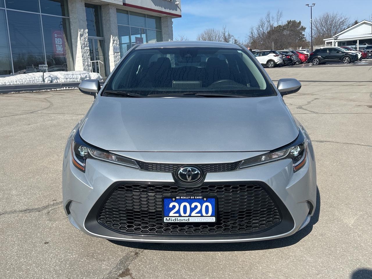 2020 Toyota Corolla LE   LOW KM   ONE OWNER Photo