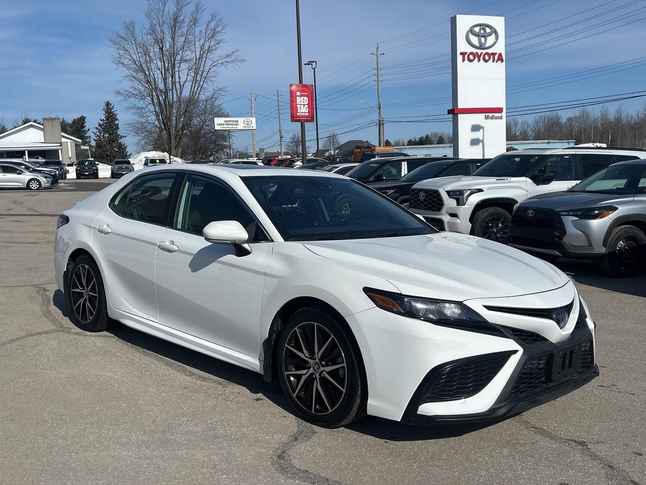 2023 Toyota Camry HYBRID SE Photo