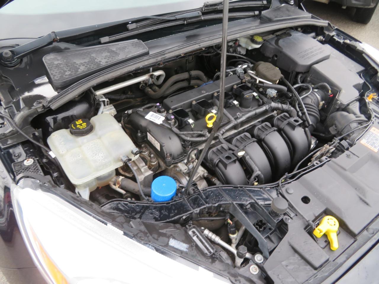 2016 Ford Focus 5DR HB SE Photo