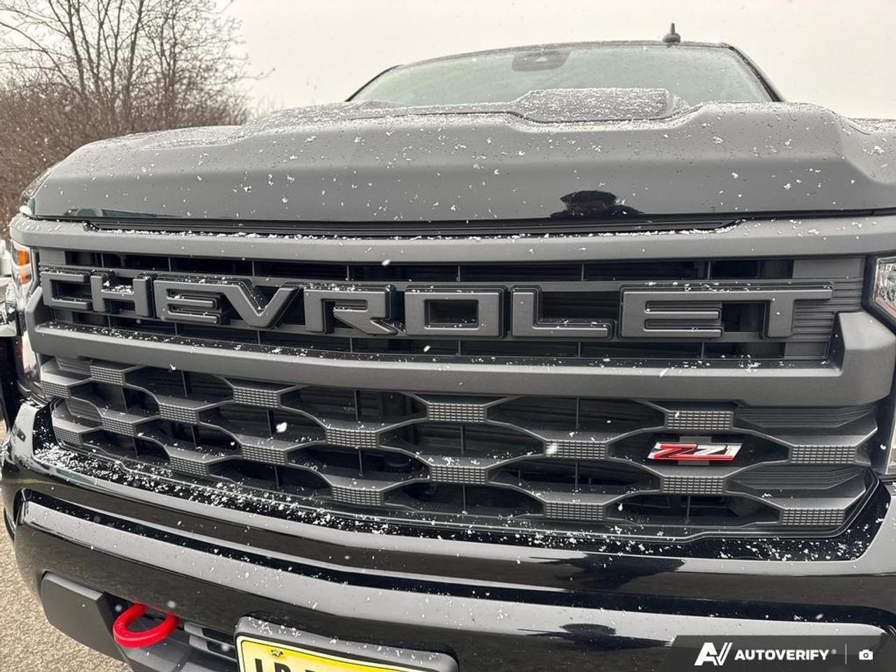 2023 Chevrolet Silverado 1500 Custom Trail Boss BACKUP CAM   KEYLESS ENTRY   LAN Photo