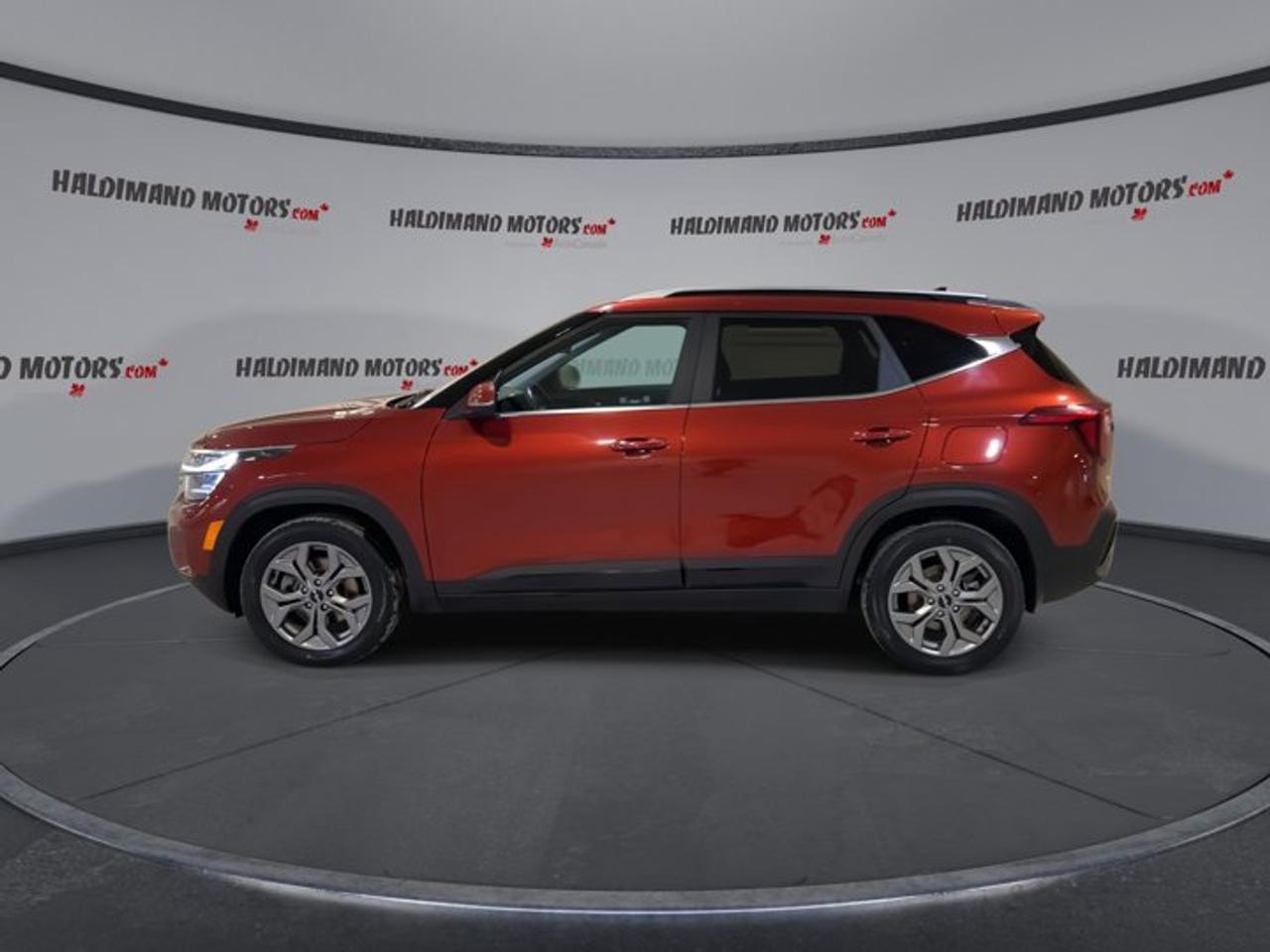 2024 Kia Seltos EX AWD | No accidents Photo