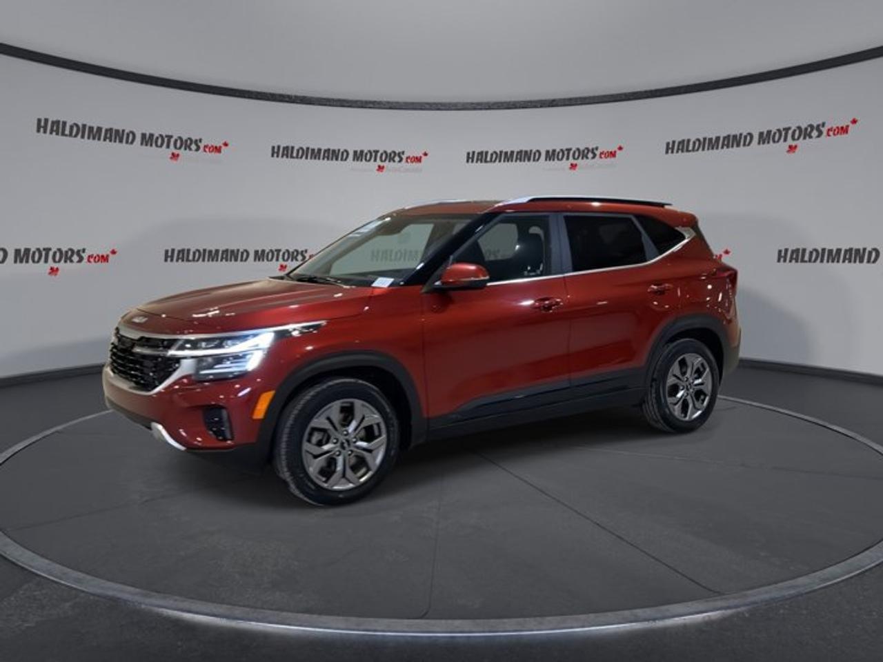2024 Kia Seltos EX AWD | No accidents Photo