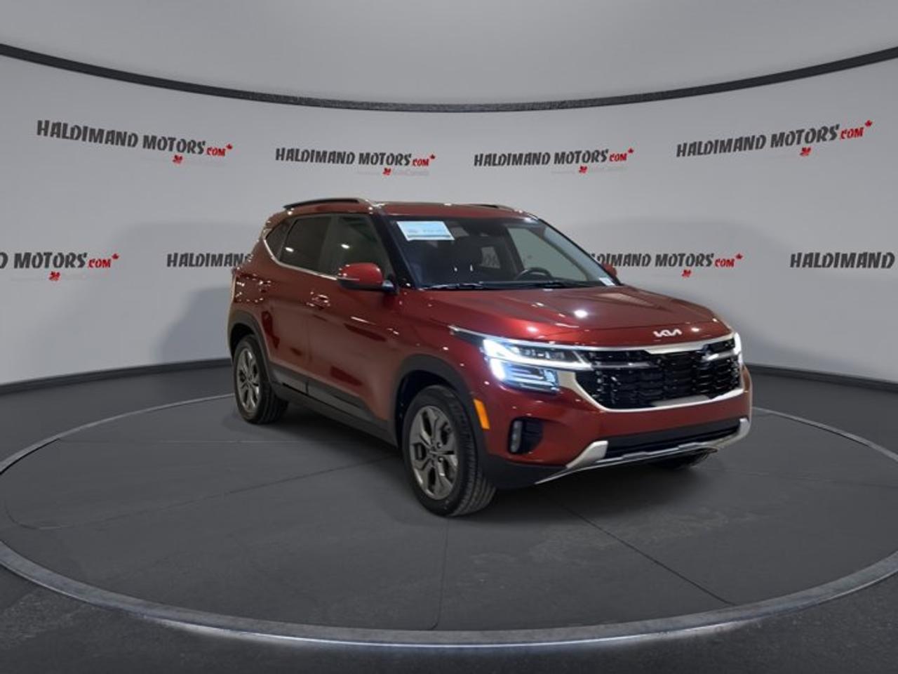 2024 Kia Seltos EX AWD | No accidents Photo