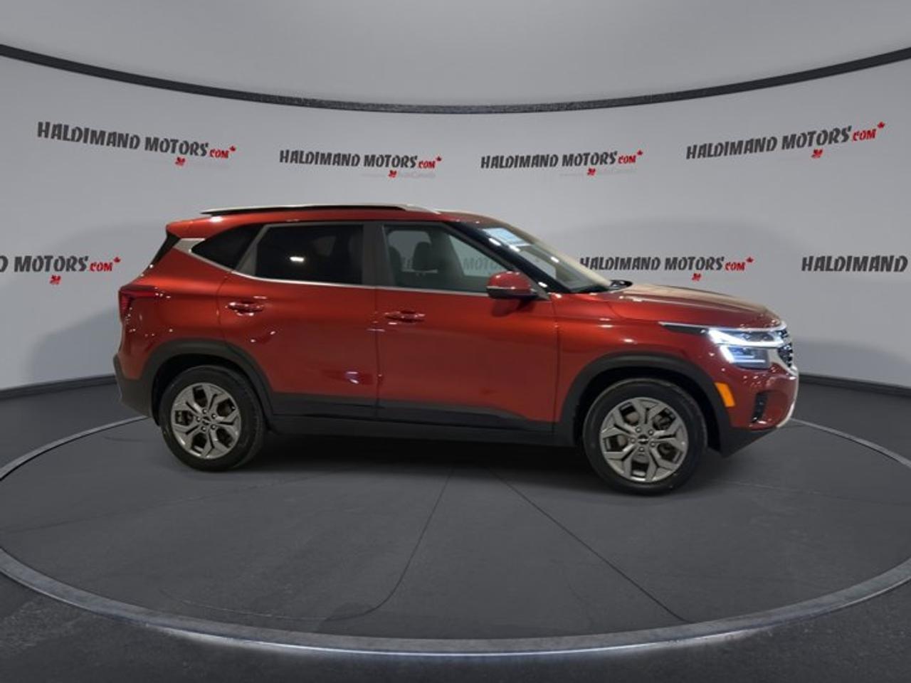 2024 Kia Seltos EX AWD | No accidents Photo