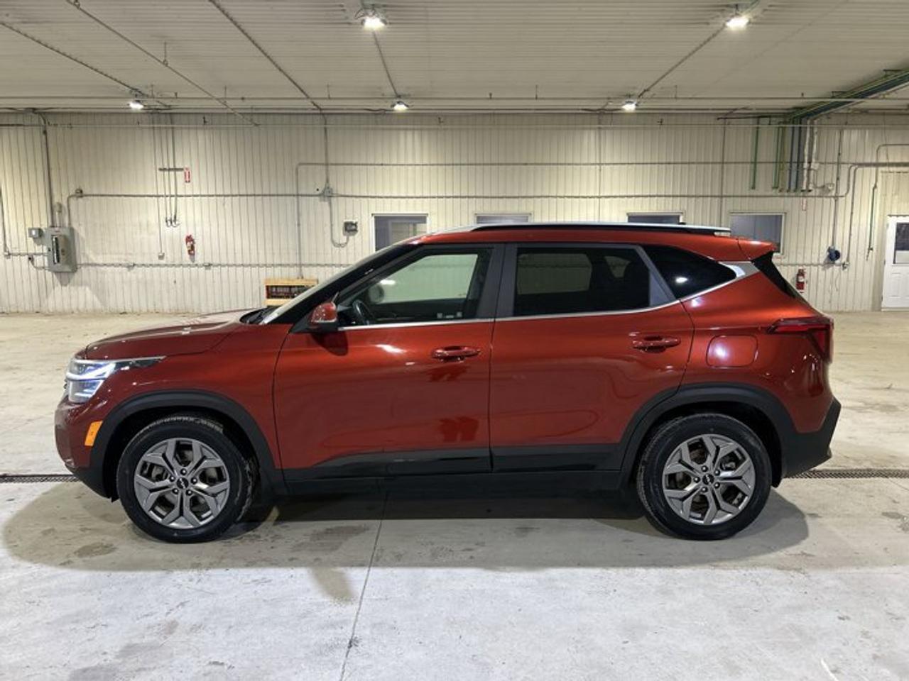 2024 Kia Seltos EX AWD | No accidents Photo