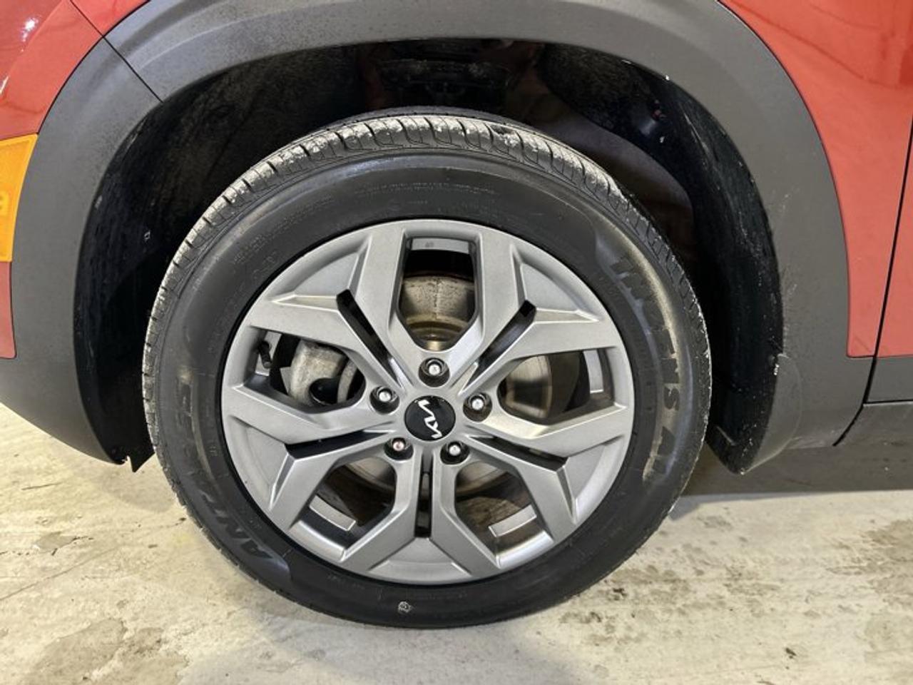 2024 Kia Seltos EX AWD | No accidents Photo