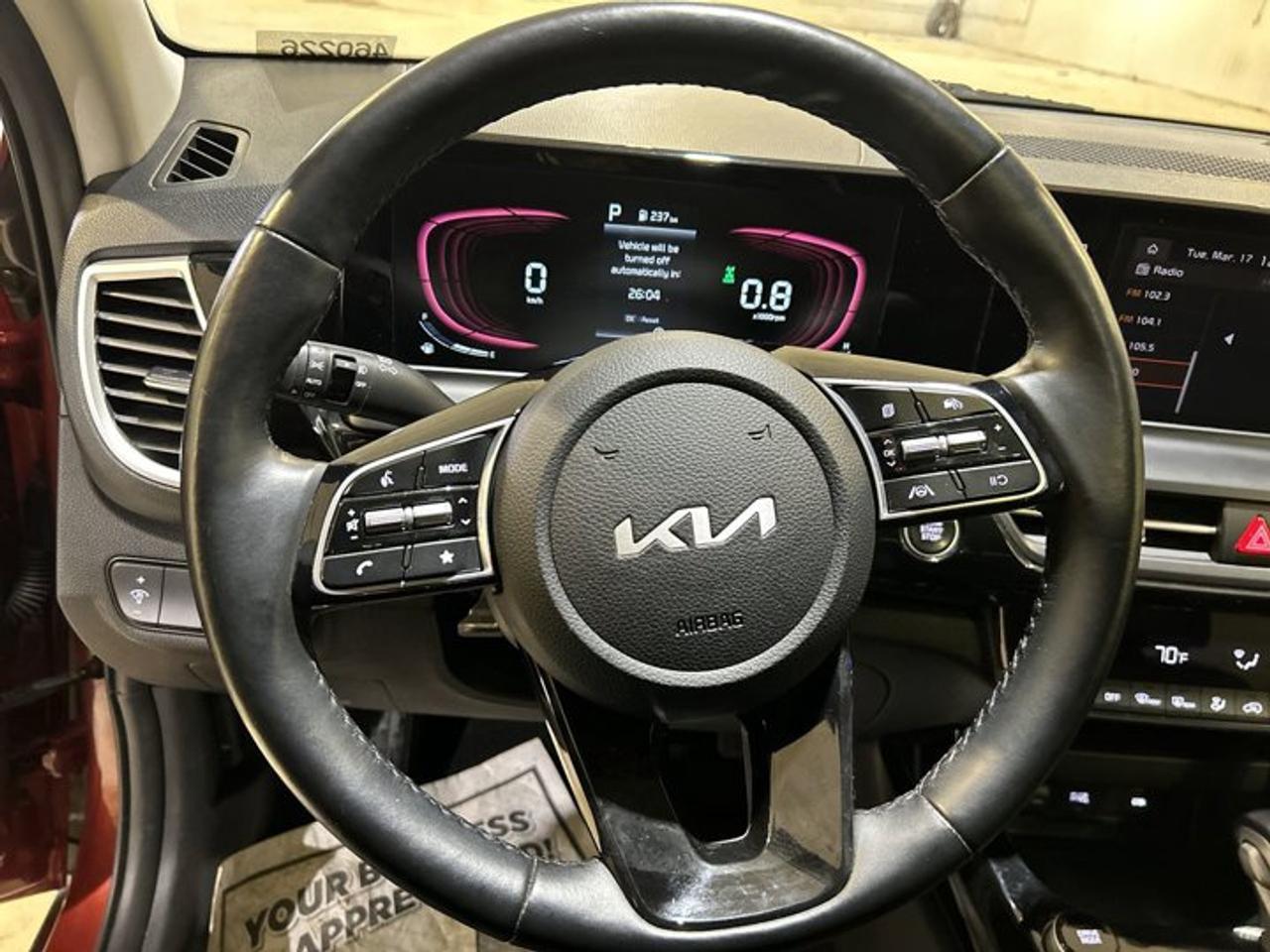 2024 Kia Seltos EX AWD | No accidents Photo