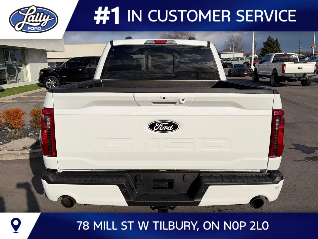 2026 Ford F-150 XLT 4WD SuperCrew 5.5' Box Photo