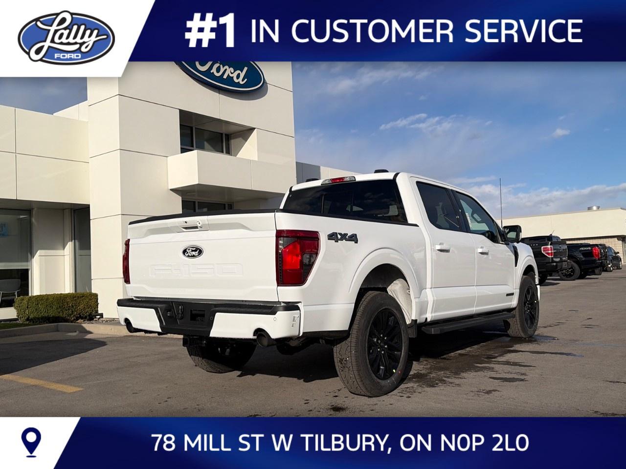 2026 Ford F-150 XLT 4WD SuperCrew 5.5' Box Photo
