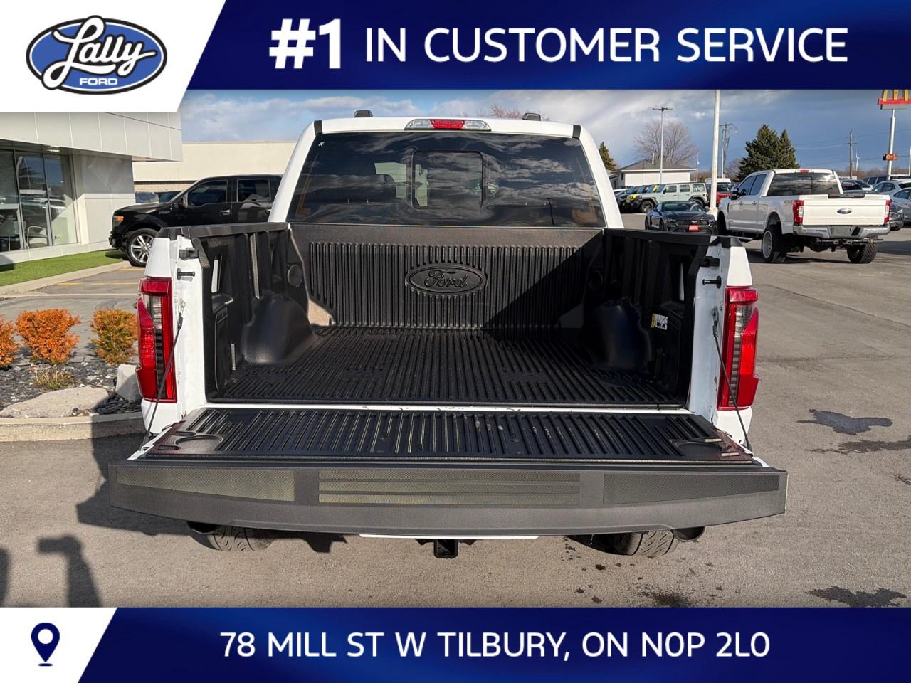 2026 Ford F-150 XLT 4WD SuperCrew 5.5' Box Photo