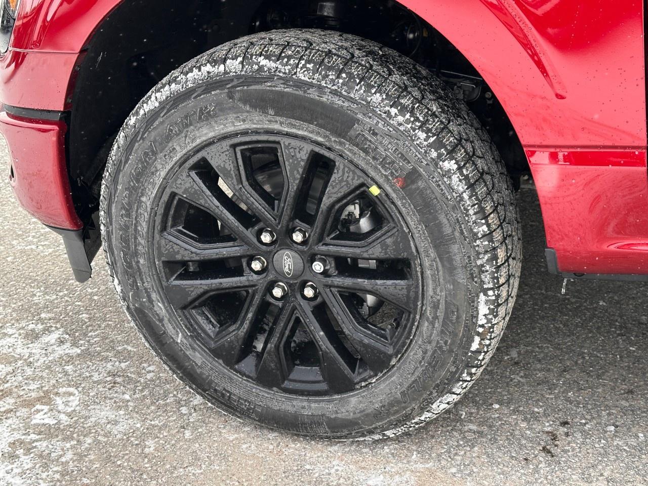 2026 Ford F-150 XLT 4WD SuperCrew 5.5' Box Photo