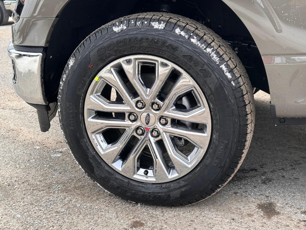 2026 Ford F-150 XLT 4WD SuperCrew 5.5' Box Photo