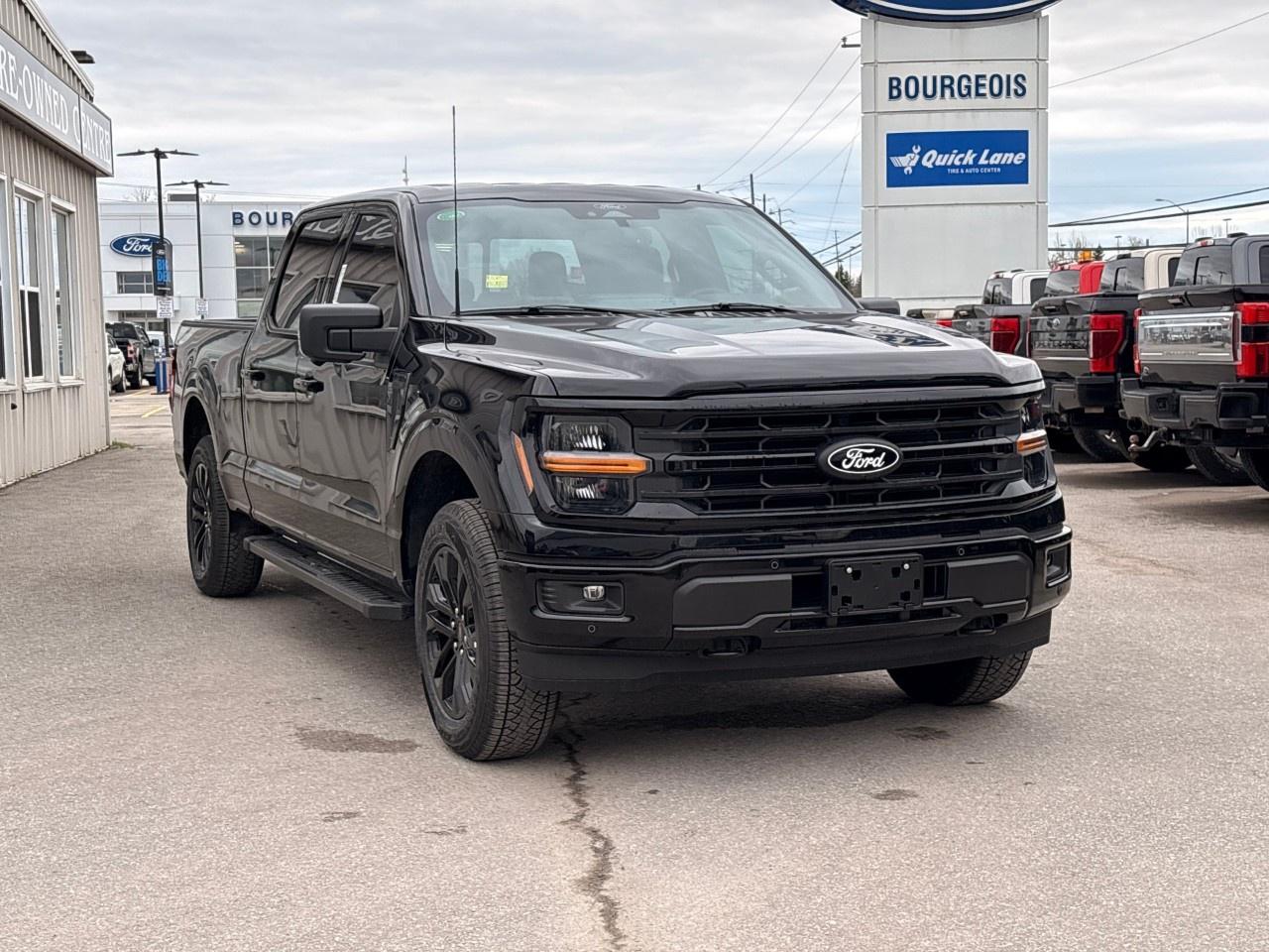 2026 Ford F-150 XLT 4WD SuperCrew 6.5' Box Photo