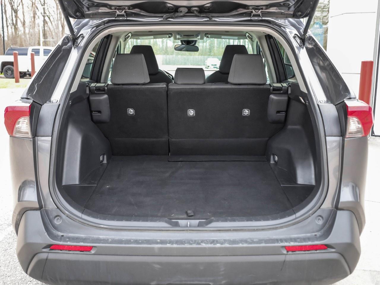 2024 Toyota RAV4 LE Photo