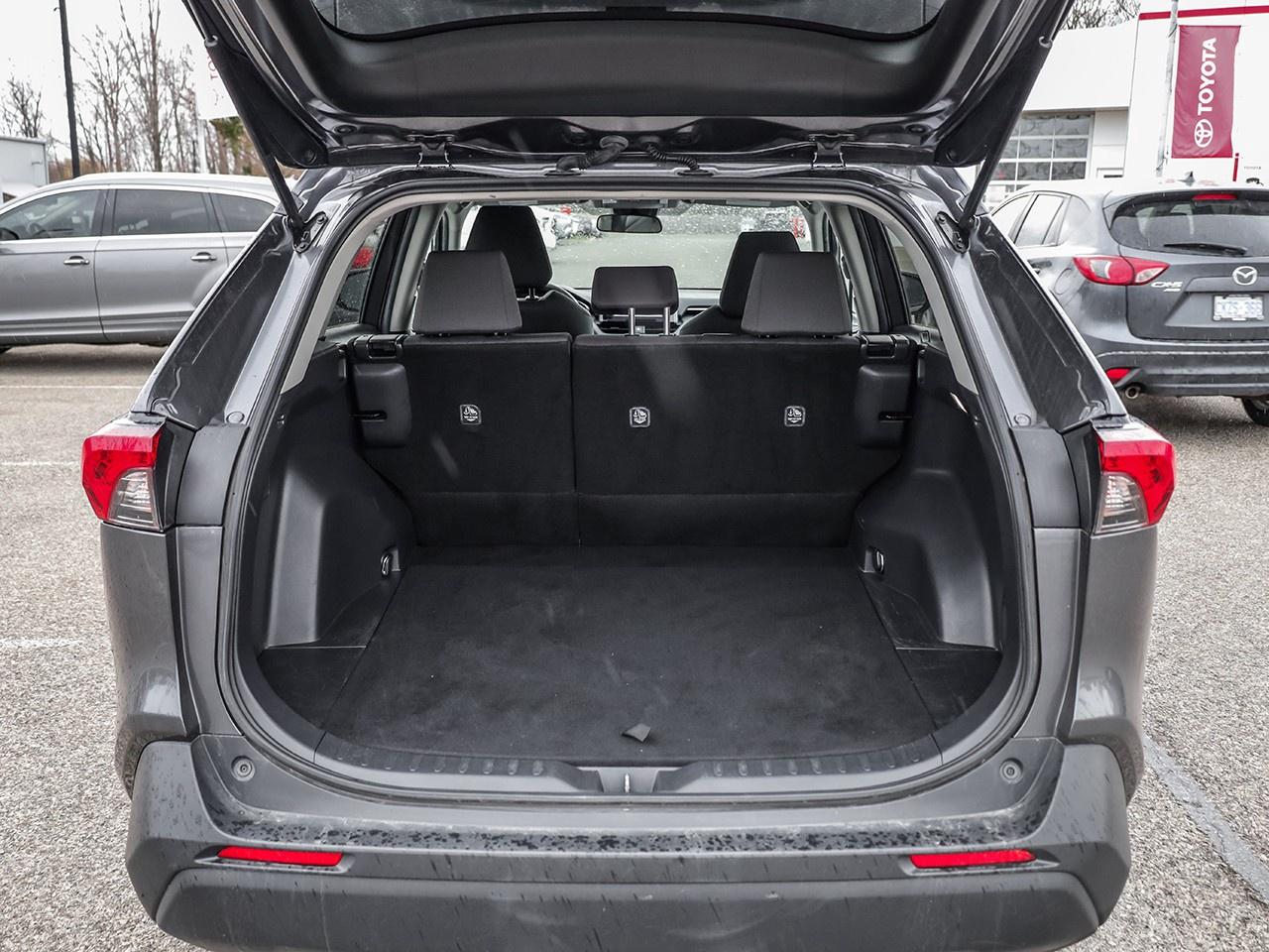 2024 Toyota RAV4 LE Photo