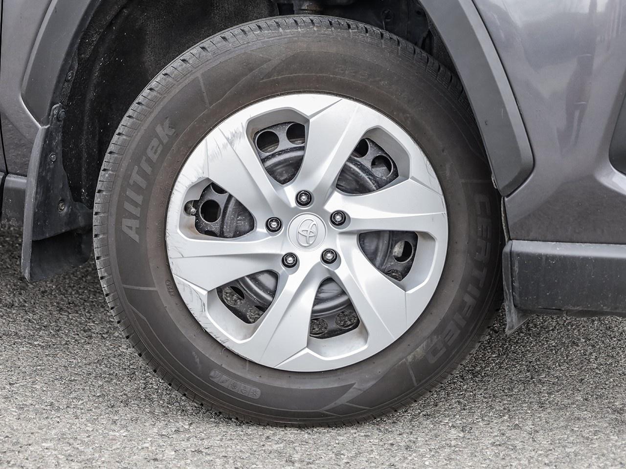 2024 Toyota RAV4 LE Photo
