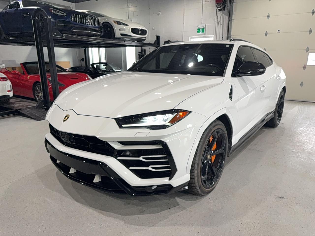 2021 Lamborghini Urus  Photo