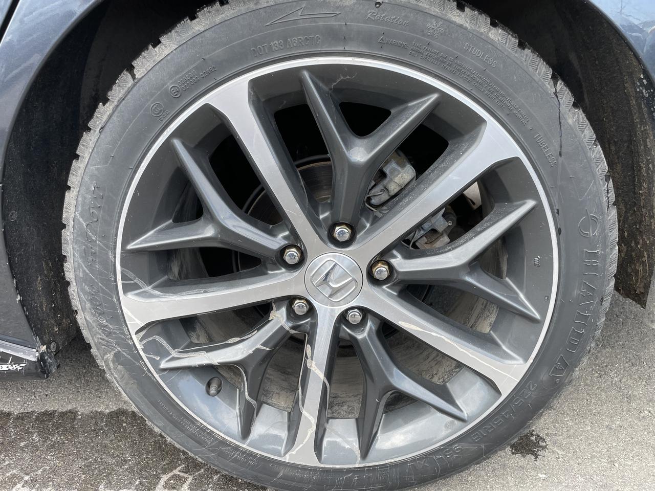 2022 Honda Civic Touring Photo