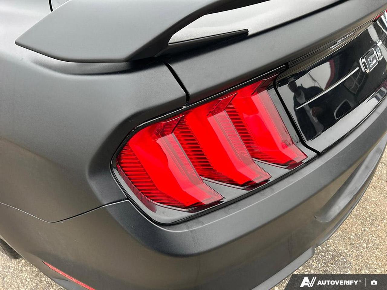 2018 Ford Mustang GT PREMIUM / NO ACCIDENTS / PERFORMANCE PKG / NAV Photo