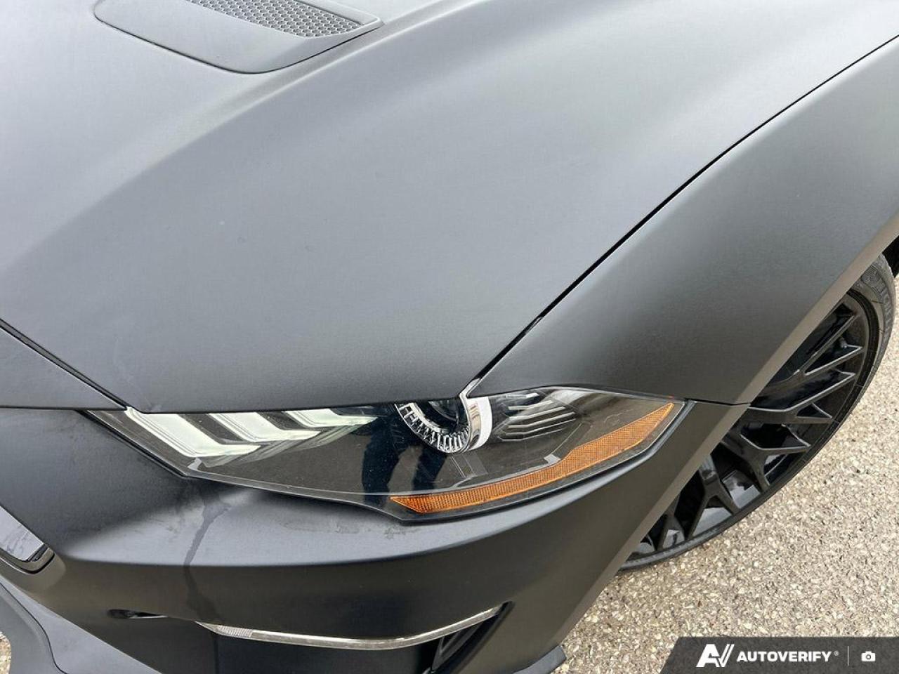 2018 Ford Mustang GT PREMIUM / NO ACCIDENTS / PERFORMANCE PKG / NAV Photo