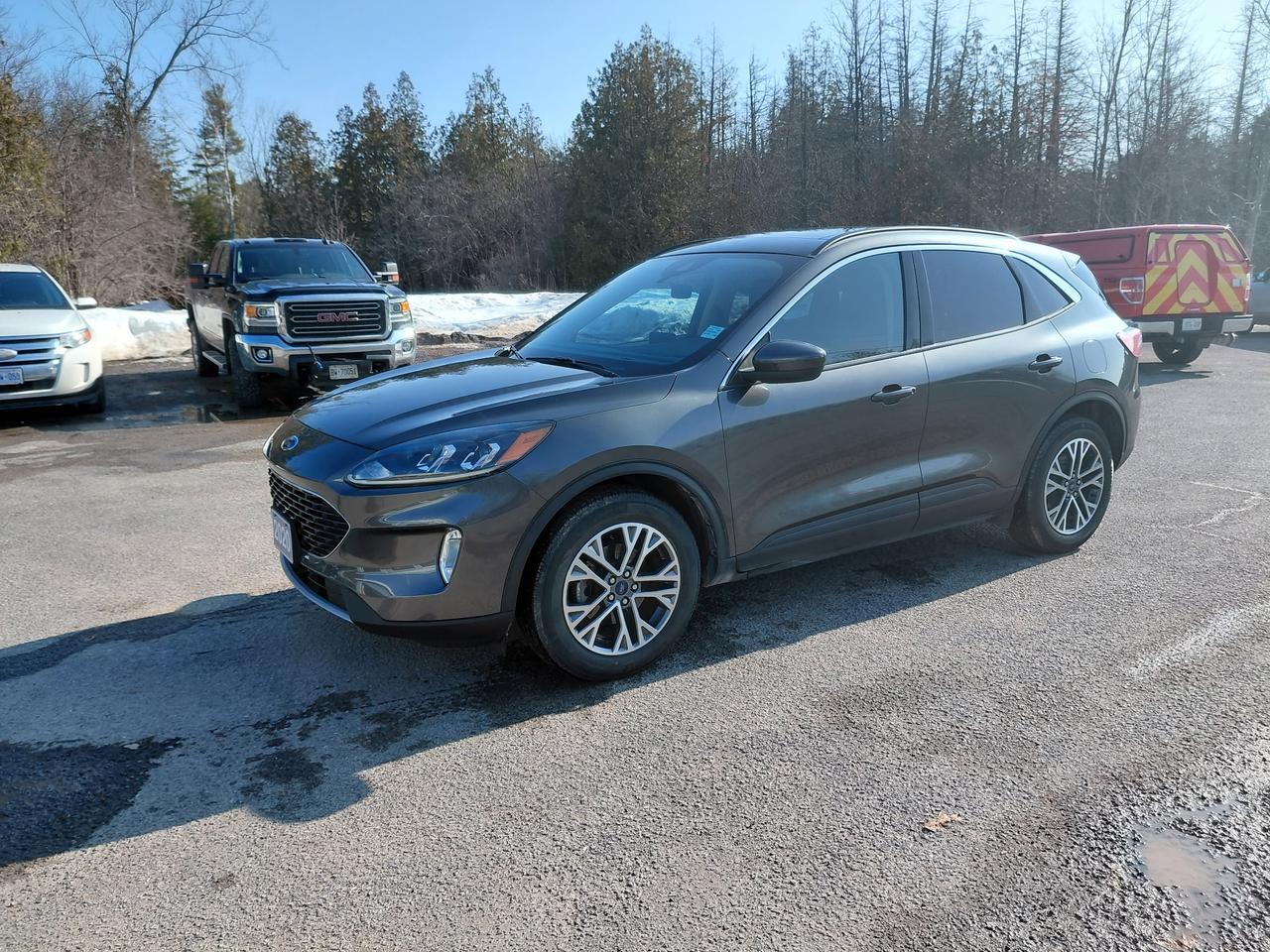 2020 Ford Escape SEL Photo