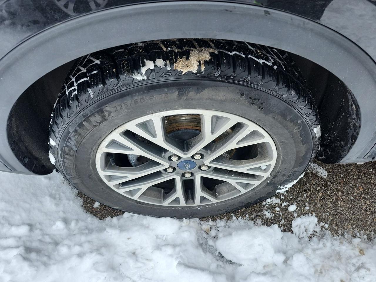 2020 Ford Escape SEL Photo