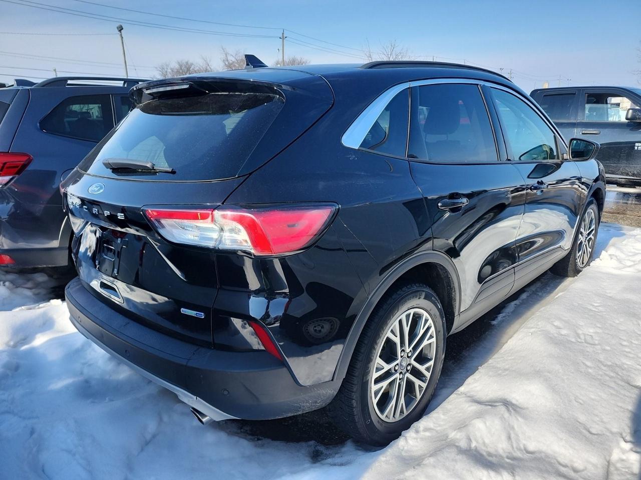 2020 Ford Escape SEL Photo