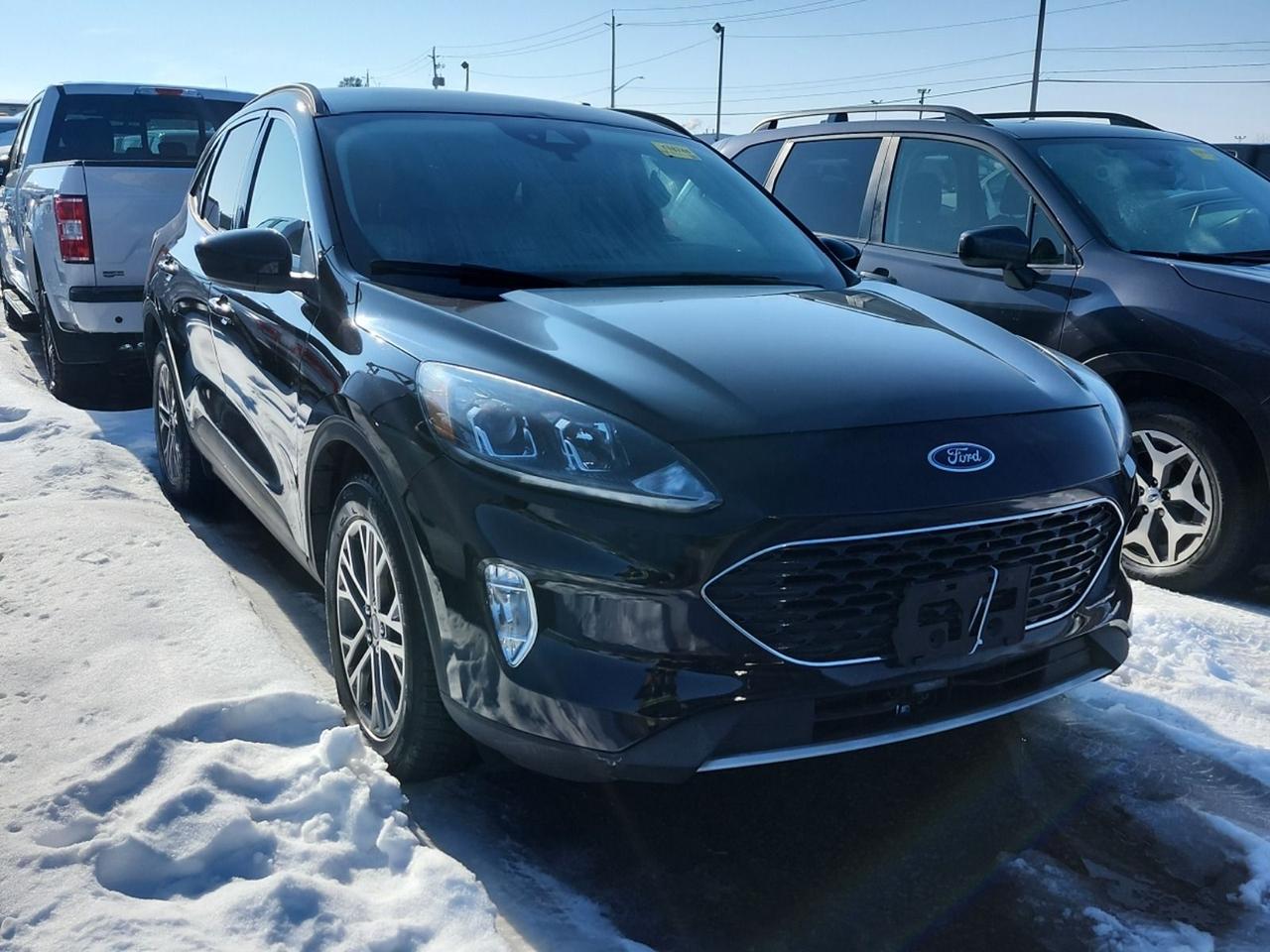 2020 Ford Escape SEL Photo