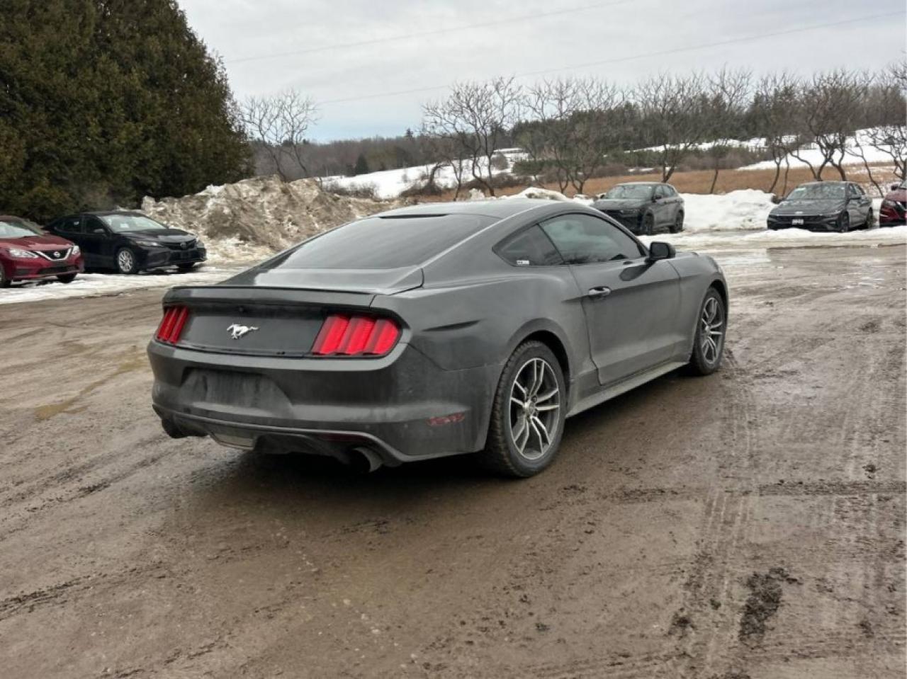 2016 Ford Mustang * DEALER SERVICED * MANUAL ECOBOOST Photo