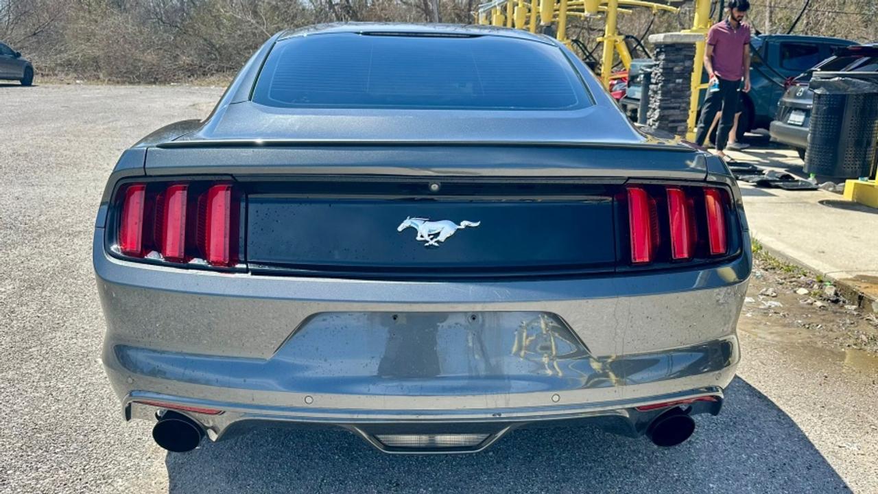 2016 Ford Mustang * DEALER SERVICED * MANUAL ECOBOOST Photo4