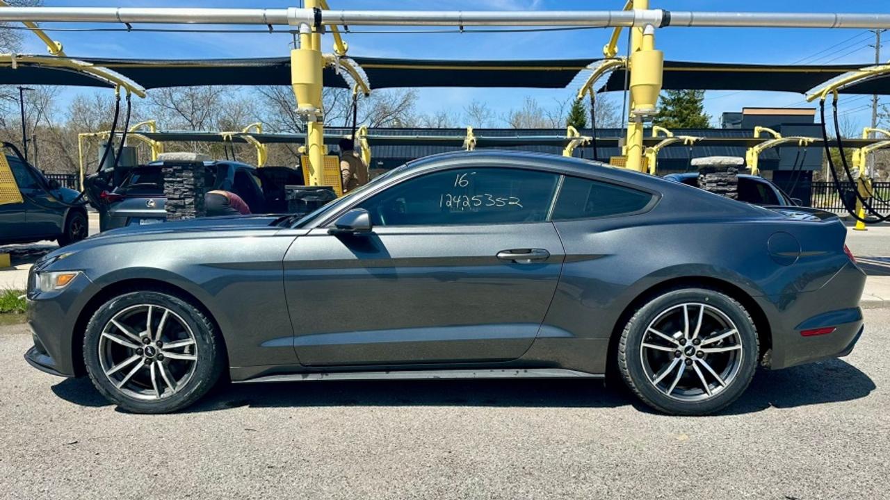 2016 Ford Mustang * DEALER SERVICED * MANUAL ECOBOOST Photo