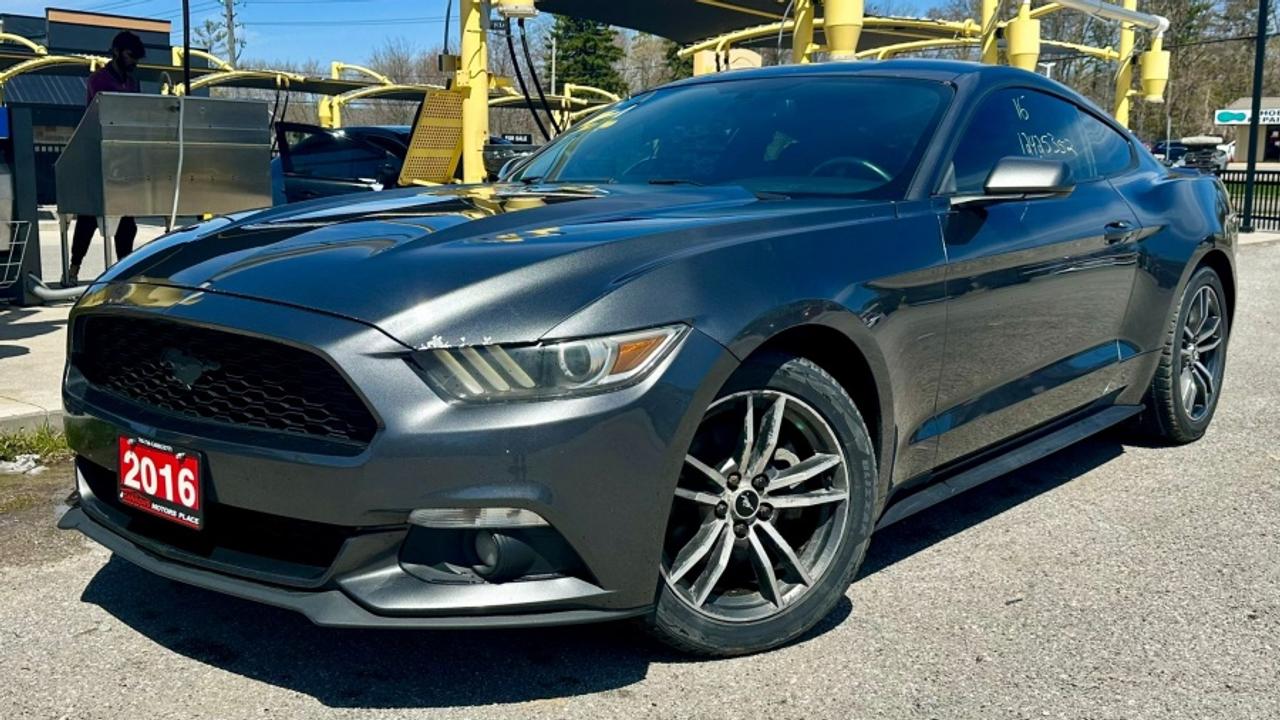 2016 Ford Mustang * DEALER SERVICED * MANUAL ECOBOOST Photo