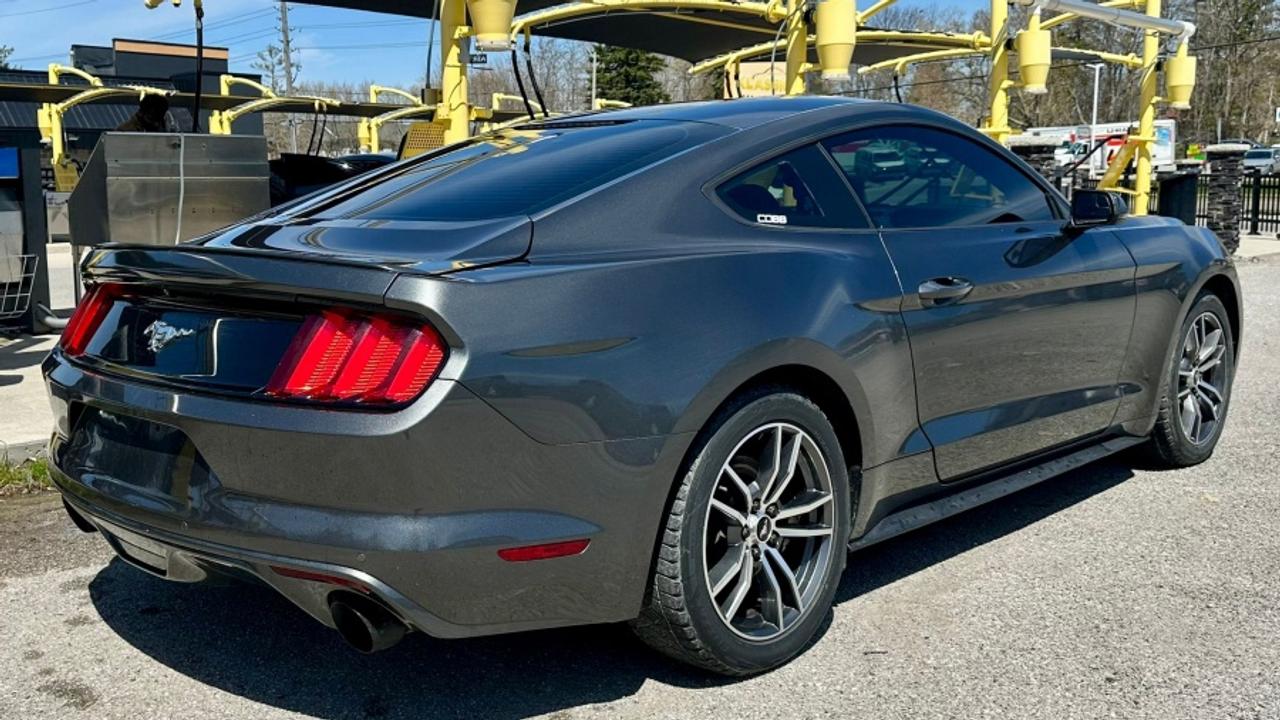 2016 Ford Mustang * DEALER SERVICED * MANUAL ECOBOOST Photo