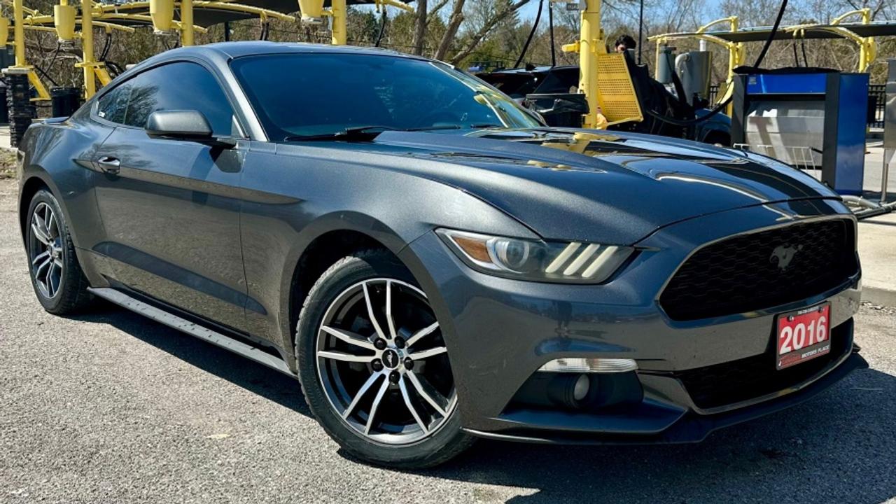 2016 Ford Mustang * DEALER SERVICED * MANUAL ECOBOOST Photo