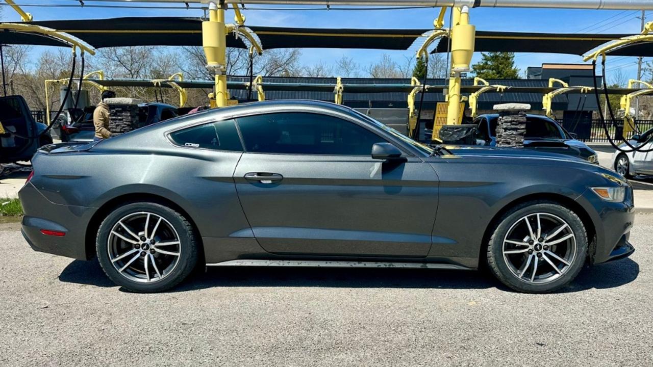 2016 Ford Mustang * DEALER SERVICED * MANUAL ECOBOOST Photo