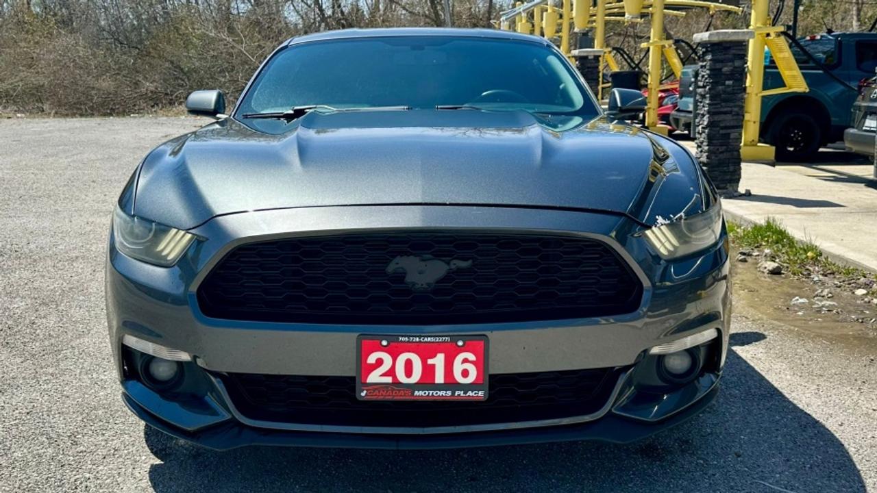 2016 Ford Mustang * DEALER SERVICED * MANUAL ECOBOOST Photo