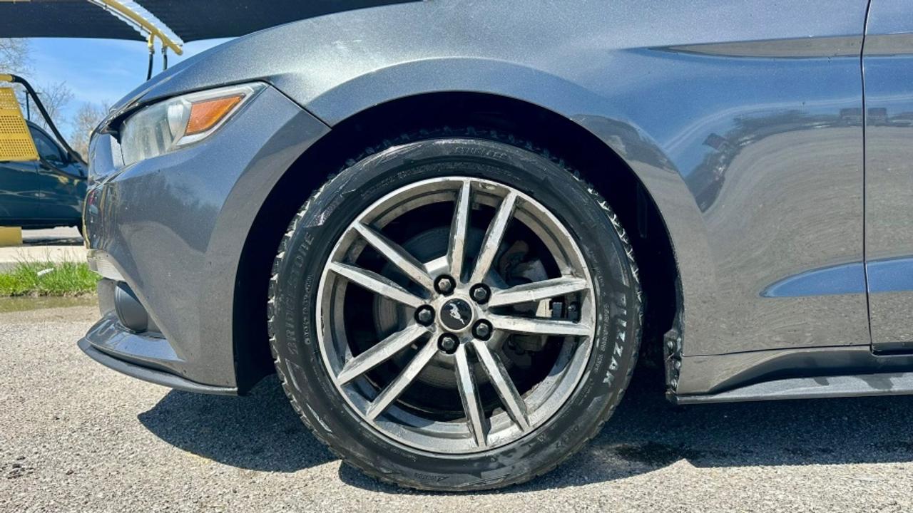 2016 Ford Mustang * DEALER SERVICED * MANUAL ECOBOOST Photo