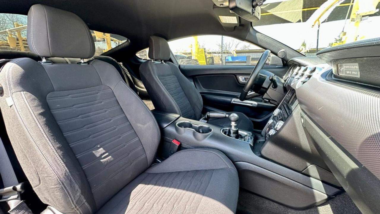 2016 Ford Mustang * DEALER SERVICED * MANUAL ECOBOOST Photo