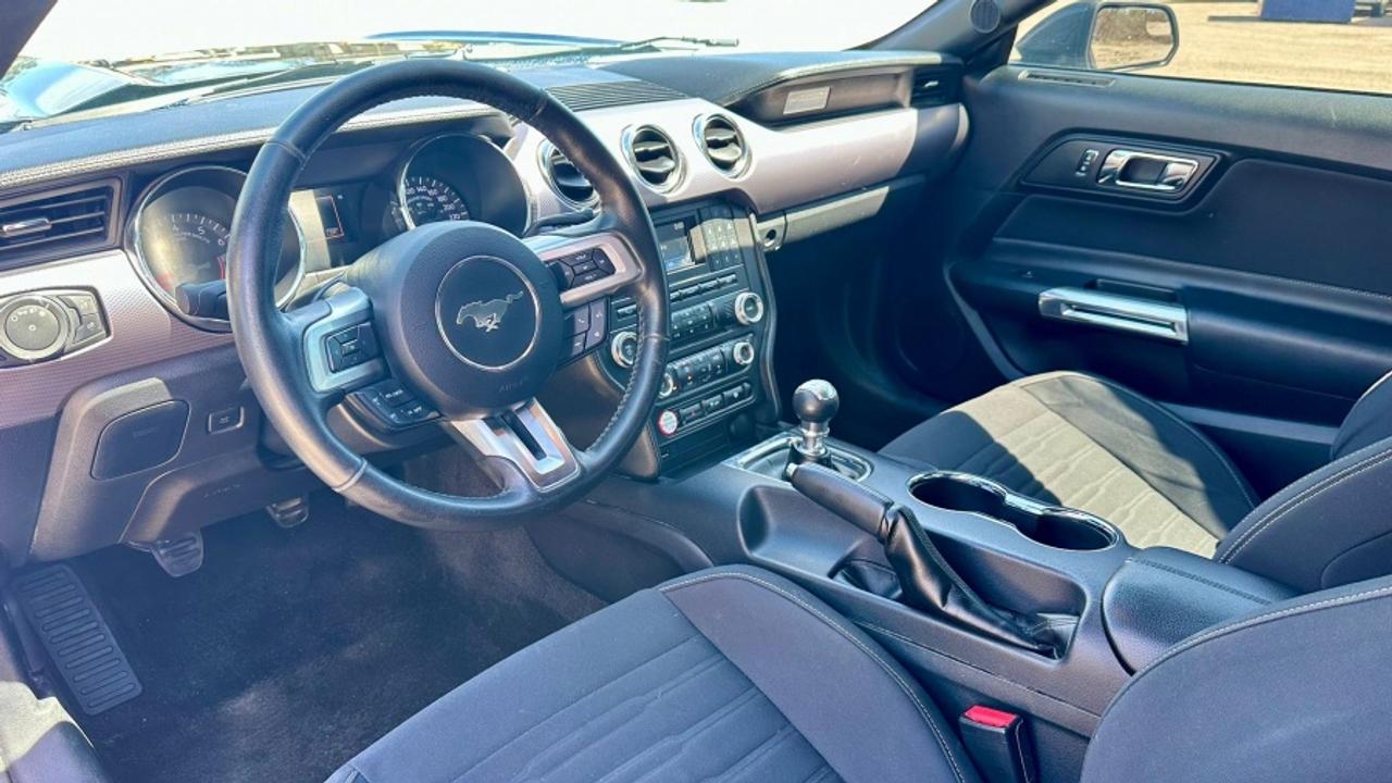 2016 Ford Mustang * DEALER SERVICED * MANUAL ECOBOOST Photo