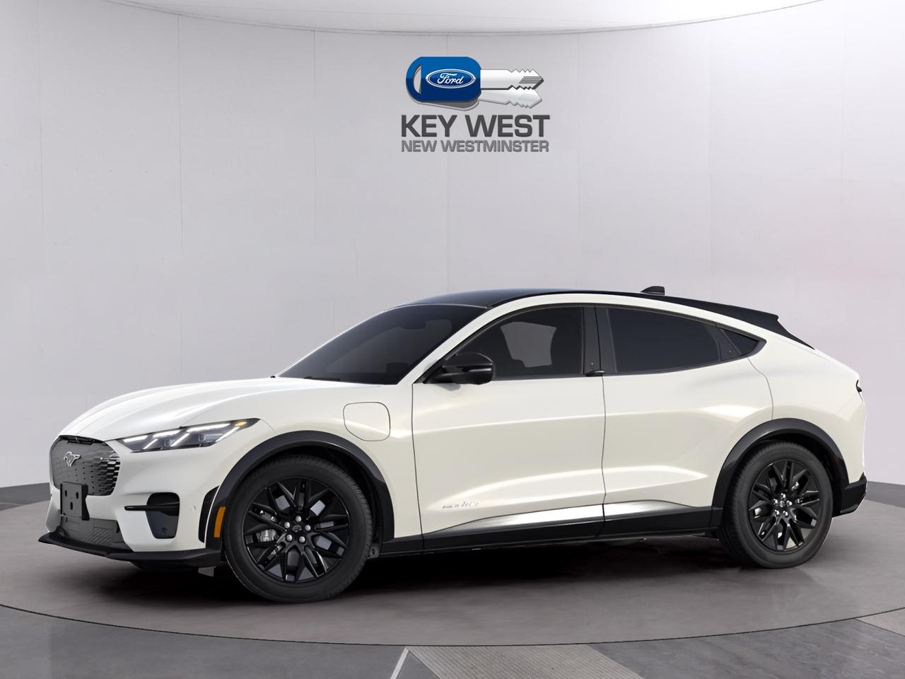 2025 Ford Mustang Mach-E PREMIUM AWD Standard Range Battery Photo0