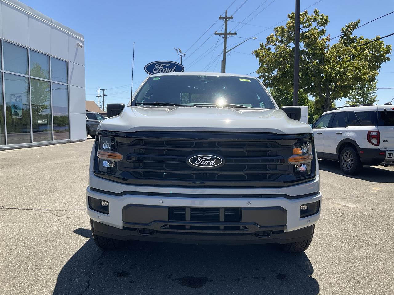 2026 Ford F-150 XLT Photo1