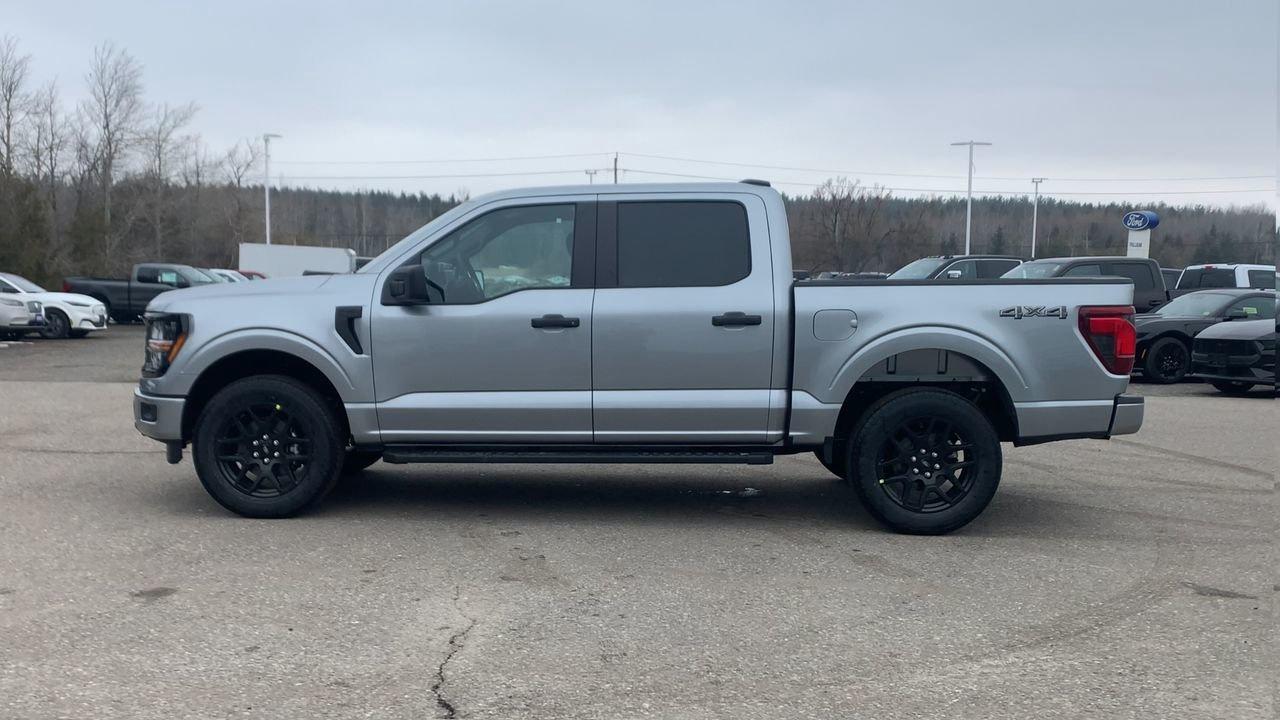 2026 Ford F-150 STX Photo