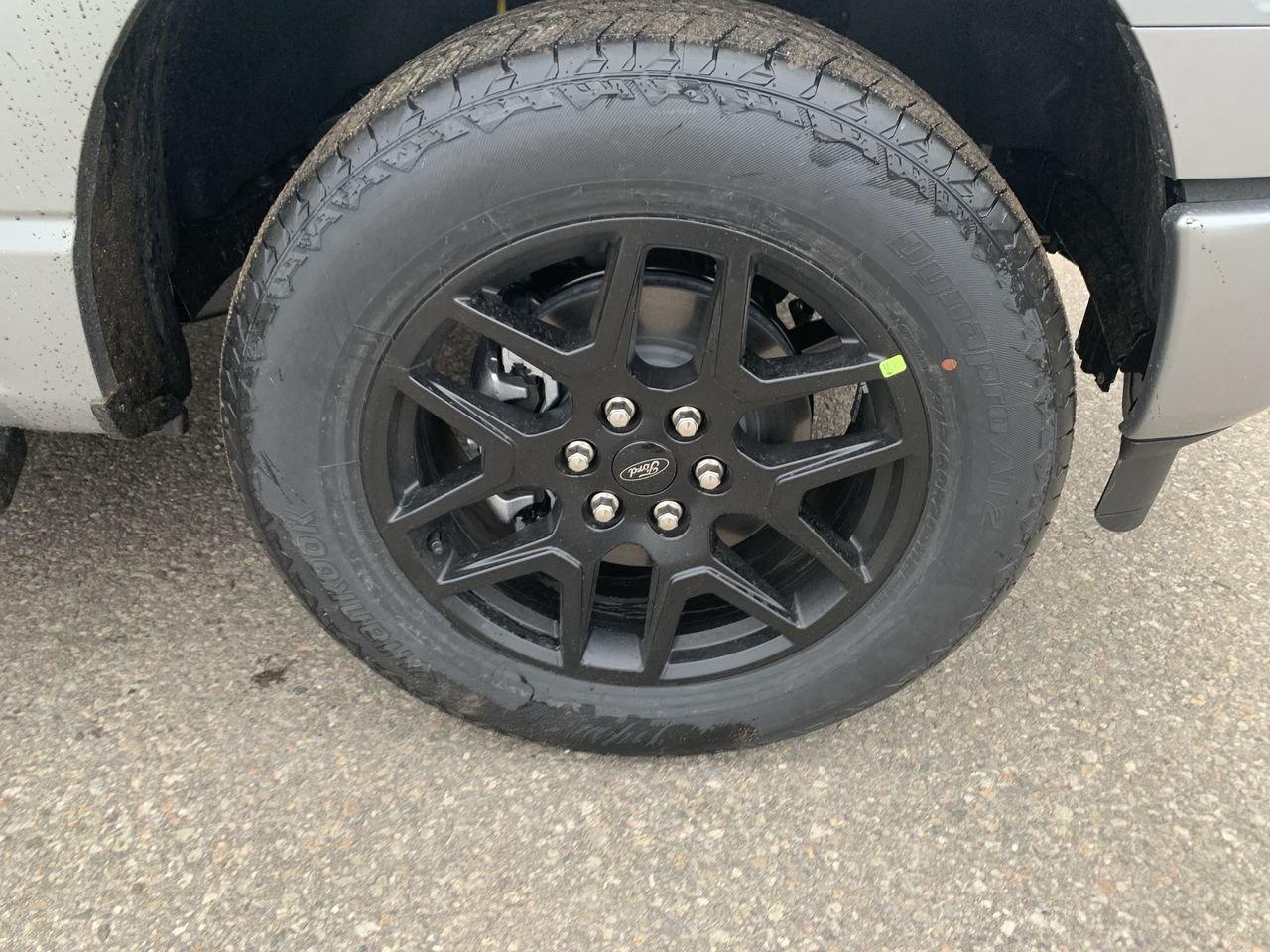 2026 Ford F-150 STX Photo