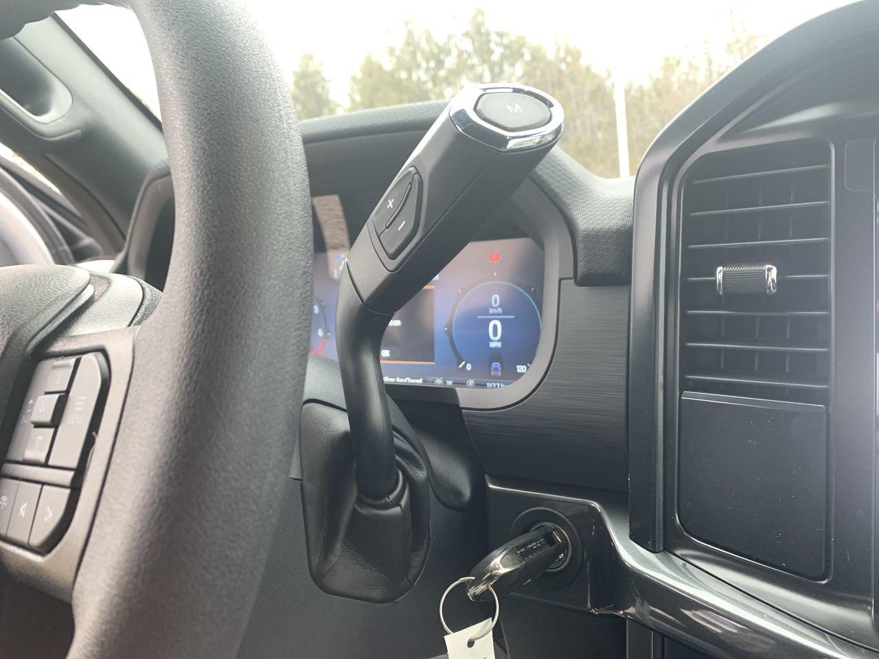 2026 Ford F-150 STX Photo